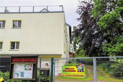 Das Tierheim „Waldfrieden“ in Stollberg. Aktuell beherbergt es fünf Hunde, vier Degus, Hühner, ein Reh und mehr als einhundert Katzen.