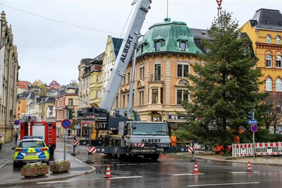 Gegen 12 Uhr ist es geschafft: Der Baum – eine Douglasie – steht auf dem Altmarkt in Aue.