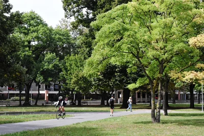 Mit praktischen Abkürzungen, aber nahezu ohne Reiz – so präsentiert sich der Schillerplatz aktuell. Als Projekt der Kulturhauptstadt soll die älteste Grünanlage der Stadt wieder etwas von ihrem früheren Charme zurückerhalten.