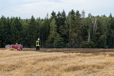 Etwa zweieinhalb bis drei Hektar waren von dem Brand betroffen.