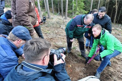 Baumpflanzaktion nahe der Karlshöhe in Mulda: Ministerpräsident Michael Kretschmer (CDU) am Mittwoch beim Auftakt von "Mein Baum für Sachsen". 