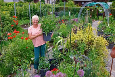 Swetlana Hüttner in ihrem Garten. Das derzeitige Wachswetter lässt die Tomatenpflanzen gut gedeihen, so dass einige Pflanzen bereits blühen.