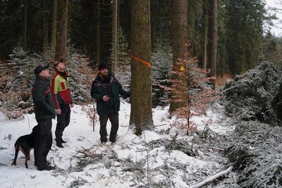 Udo Lüttschwager, Jannek Wessels und Revierförster Stefan Voigt (von links) am Ortsrand von Friedrichsgrün, wo nach dem Fällen der hohen Fichten im Frühjahr eine Hecke angepflanzt wird.