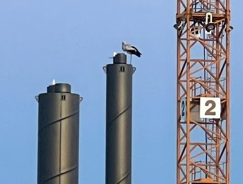Auf der Baustelle nisten nun offenbar Störche. 