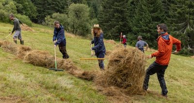 Zwei Wochen Heuernte an den Hängen des Fichtelbergs - da ist vor allem Muskelkraft gefragt. 