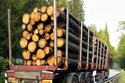 Holztransporter erhöhen mit ihren Frachten den Druck auf die Straße.