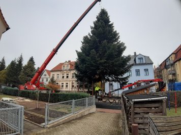 Sie wurde von der Hainichener Straße abgeholt