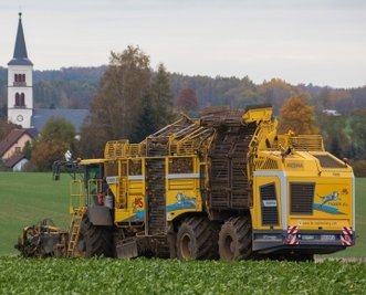 Der Tiger, die als stärkste Rüben-Rodemaschine gilt, bei Callenberg im Einsatz.
