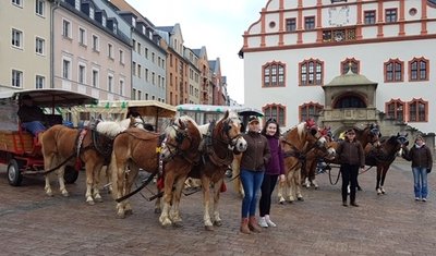 Der Kutschenkorso zum Auftakt des 25. Europäischen Bauernmarktes erreichte sein Ziel am Altmarkt in Plauen. 
