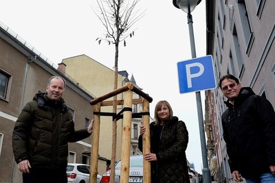 Wie hier an der Ecke Weststraße/Bahnhofstraße sorgte der Lions Club kürzlich für mehr Grün in der Stadt. Die Baumspenden-Aktion wird im nächsten Jahr fortgesetzt, auch dafür stehen Martina Müller (Ex-Präsidentin) sowie Präsident Uwe Heimrath (rechts) und Vize-Präsident Lars Lange. 