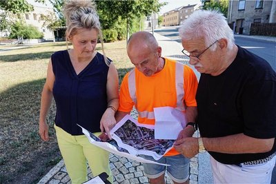 Bauhof-Chef Frank Buschner (Mitte) sieht seine Truppe gut aufgestellt.
