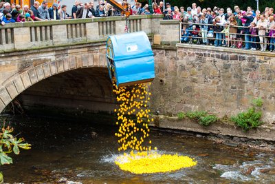 Der Vorverkauf für das 13. Entenrennen in Chemnitz hat begonnen.