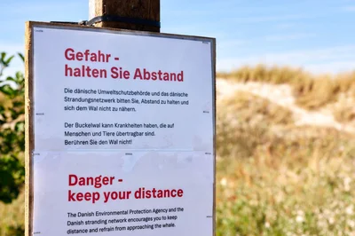 Achtung, Ansteckungsgefahr! Die Behörden klären auf Deutsch auf. 