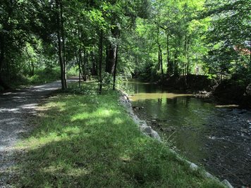 Naturerlebnis mitten in Altchemnitz: Im Wasserwerkspark zwischen Erfenschlager Straße und Zwönitzstraße kann man als Wanderer mit etwas Glück Wasseramseln und Eisvögel beobachten.