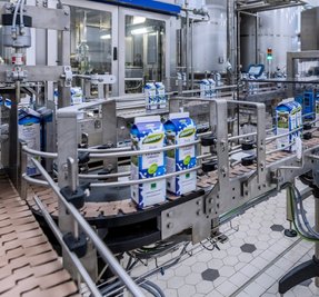 Noch verkauft Dennree die Milch aus Eichigt als Eigenmarke. Bald soll sie als Hofgut-Eichigt-Milch zu haben sein. 