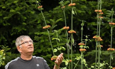 Roman Kopalla konnte in diesem Jahr in seinem Garten unter anderem das Afrikanische Löwenohr bestaunen. 