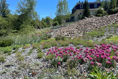 Bis zur Landesgartenschau 2027 in Bad Schlema soll sich in der Gebirgslandschaft ein dichter Flor gebildet haben.