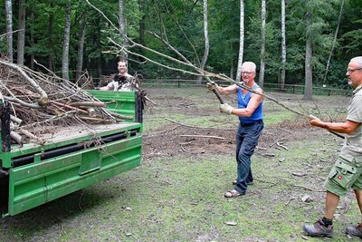 Arbeit gibt's immer: Die Fachkräfte Wolfram Endrigkeit (r.) und Lutz Gärtner räumen Geäst aus dem Damwildgehege, das für eine Benjeshecke Verwendung findet. Praktikant Benjamin Dieter Dingler (l.) hilft dabei. 
