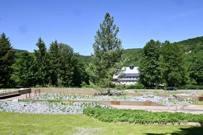 Ein Genussweg führt die Besucher durch das Landesgartenschau-Gelände.
