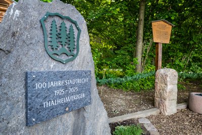 Auch ein Gedenkstein anlässlich 100 Jahre Stadtrecht befindet sich nun auf dem Gelände.