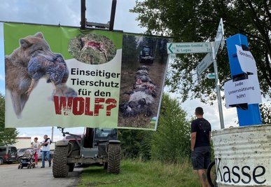 Weidetiertag in Niederwürschnitz: Die Wolfspolitik wird kritisiert.