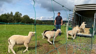 Dana Walter aus dem Osterzgebirge hält Schafe. "Es gibt einfach zu wenig Kaufkraft in der Region."