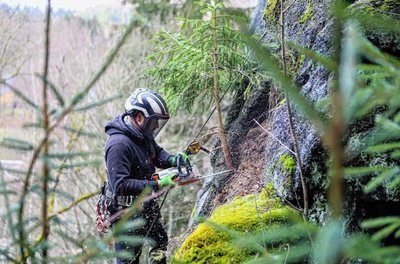 Am Klettersteig wurden kleine Bäumchen und lose Steine vom Felsen entfernt.