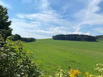 Nahe des Herrenweges in Zethau sind vier Solarflächen geplant. Die Aufstellung des entsprechenden Bebauungsplanes wurde jetzt beschlossen.