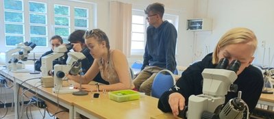 Die Schüler des Regenbogen-Gymnasiums Augustusburg nutzten auch die Ausstattung der Biologischen Station Hiddensee. 