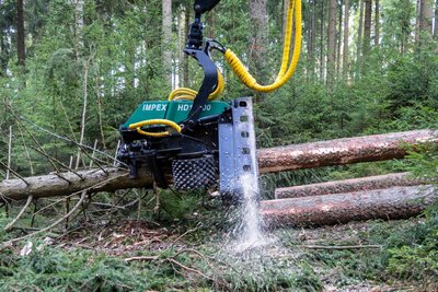 Nach dem Ernten werden die Stämme mit dem Harvester auch gleich entastet und zugeschnitten.