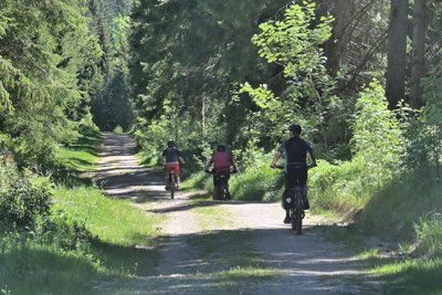 Viele Radfahrer nutzen die Wege im Revier Wildenthal.