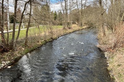 Stärker macht sich die Trockenheit in den Fließgewässern wie der Weißen Elster bemerkbar.