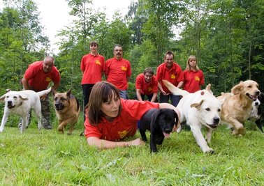 
              <p class="artikelinhalt">Mitglieder der Rettungshundestaffel des Arbeiter-Samariter-Bundes Ostthüringen auf ihrem Übungsgelände in Elsterberg. Ganz vorn: Labrador Buddy mit seiner Besitzerin Anke Schneider.</p>
            