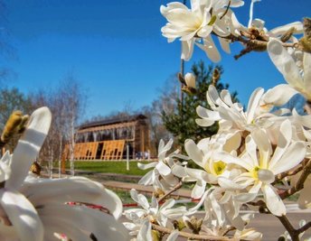 Lohnt einen Besuch: der Bürger- und Familienpark in Oelsnitz mit Gradierwerk. 