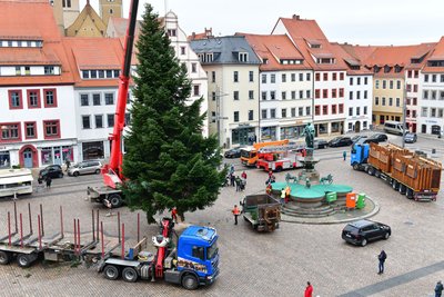 Die Tanne ist in diesem Jahr aus Freiberg.