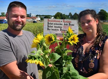 Sonnenblumen als Schmuck gibt es derzeit noch in Hainichen in der Nähe der Autobahnauffahrt auf einem Feld zum Selbstpflücken. Dort haben auch Marlen Wagner und René Kloos sich einen Strauß zusammengestellt und vor Ort in die Kasse des Vertrauens eingezahlt.