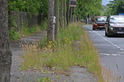 Der Gehweg entlang der Bürgerschachtstraße in einem denkbar schlechten Zustand.