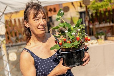Zu den Teilnehmern gehörte auch Tabea Wagner mit auf den ersten Blick täuschend echten Erdbeeren aus Ton.