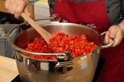 Die Früchte der Eberesche werden hier zu Vogelbeermarmelade verarbeitet. Die süß-herbe Note passt perfekt zu frischem Brot oder als Beilage zu Käse.