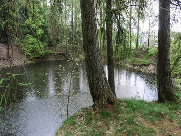Eine leblose Frau trieb am Ufer des Schneiderloch genannten Teiches in der Nähe von Affalter.