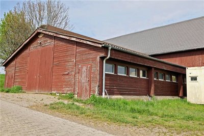 Die Ställe des Hofes sind inzwischen leer. Von den 82 Kühen wurden 40 geschlachtet, davon 23 trächtige Tiere. 