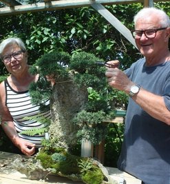 Foto links: Gabriele und Andreas Meichsner mit einem Bonsai, der aus einem Fels wächst. Foto oben: Mario Beier und Laudatorin Helena Kothe (rechts) zeichnen Simone Becht stellvertretend aus. Foto unten: Christoph Dallmann und Lisanne Baumann wurden von Adrian Seidel von der Werbeagentur Page Pro Media gefilmt.