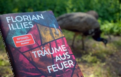 Florian Illies’ "Träume aus Feuer" ist eine Parabel darüber, wie aus einem gescheiterten Traum etwas Wertvolleres entstehen kann.