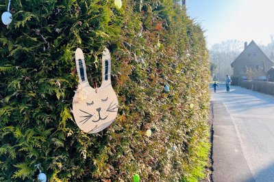 Auf der Mühlenstraße sind unter anderem Hecken geschmückt.
