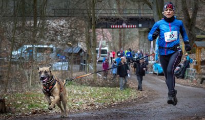 Siegerduo der Frauen: Doreen Baldauf mit Clyde, die beinahe flogen.
