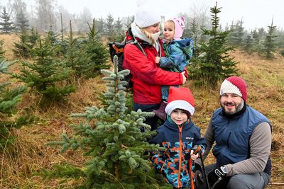 Am dritten Advent war Familie Schäfer aus Erlau schon mal im Sachsenforst auf Weihnachtsbaumsuche.