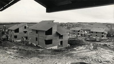 Vor über 20 Jahren begann in Zwickau an der Rottmannsdorfer Straße der Bau der SOS-Kinderdorf-Häuser. Das Gelände ist mittlerweile unter anderem mit Apfel-, Birnen- und Kirschbäumen bepflanzt.