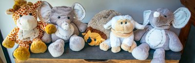 Diese lustige Plüschtier-Parade hat im Drebacher Ladengeschäft "Frassgusch" Platz genommen. Lissy Schön füllt die Tierchen mit selbst getrockenten Erzgebirgskräutern. Deren Duft macht das Kuscheln zu einem sinnlichen Erlebnis.