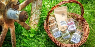 Kräutersalze gehören zu den gefragten Produkten aus dem Kräuterreich in Waschleithe. Lissy Schön hat dafür die Rezepturen selbst entwickelt - neueste Kreationist ein Beeren-Rosmarin-Salz.