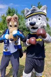 Auf gutes Gelingen: KSB-Wolf "Fredi" (r.) und das Maskottchen der Chemnitzer Wölfe. Die Wettkämpfe im Boxen richten Mittelsachsen und Chemnitz gemeinsam aus. 